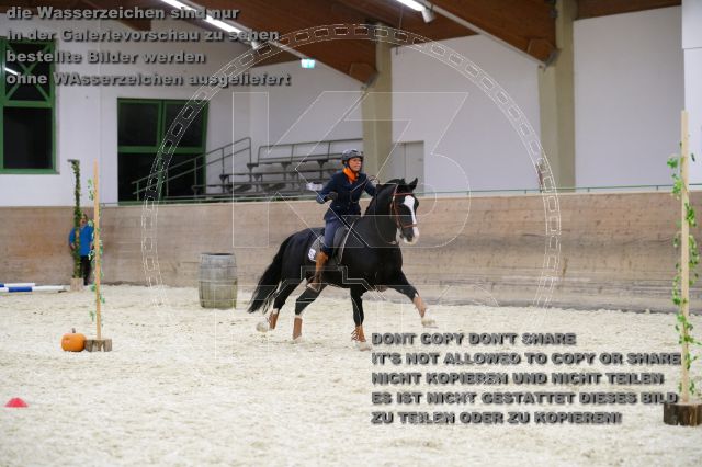 s_K3F01899.JPG